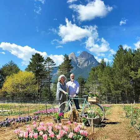 Holiday home Ca L'anella